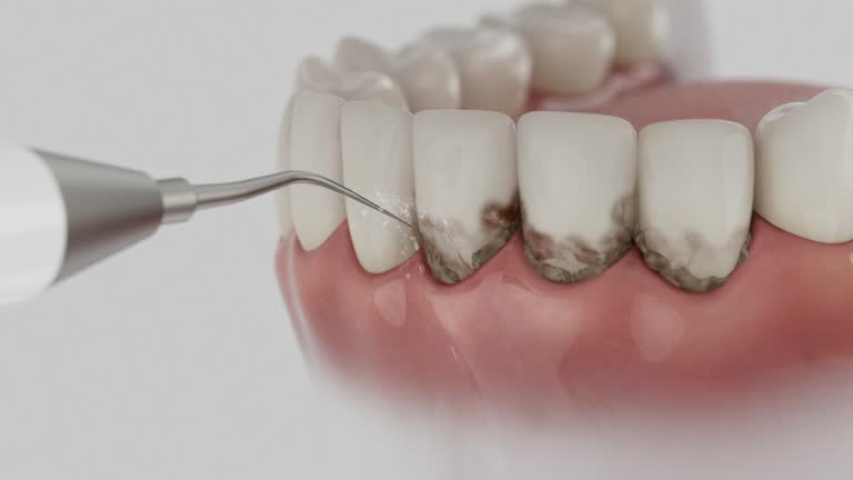 Reliable Dental contractor in Millcreek, UT by Dentist Open Now